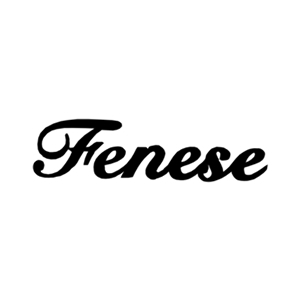 fenese.com