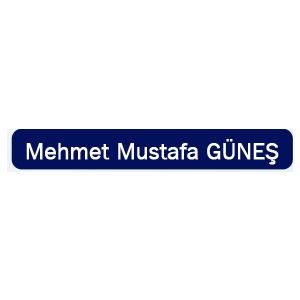 mehmetmustafagunes.com